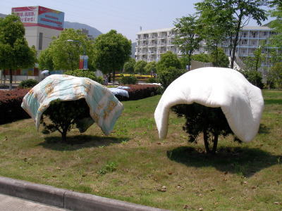 浙江海洋学院